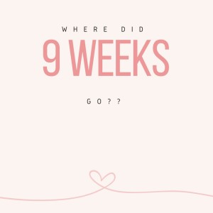 9 weeks