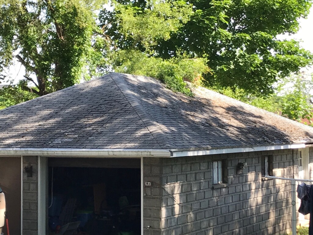roof4